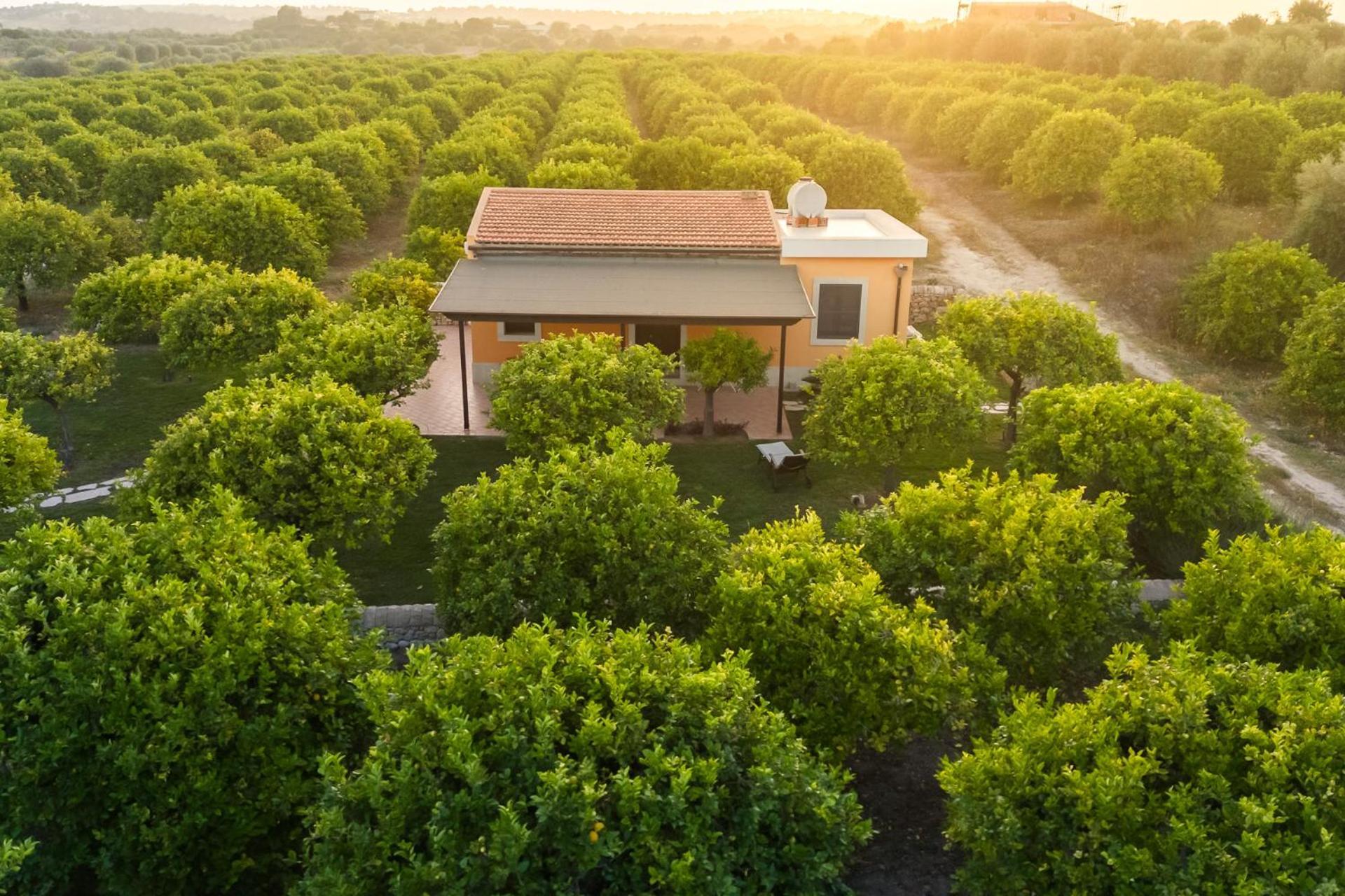 Fiore Di Vendicari B&B - Sicilian Charme, Lemon Grove And Sea โนโต ภายนอก รูปภาพ